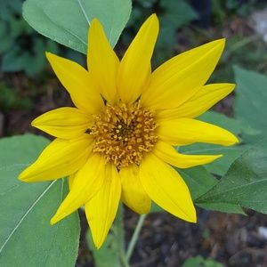 Meet your Posher, Bonnie